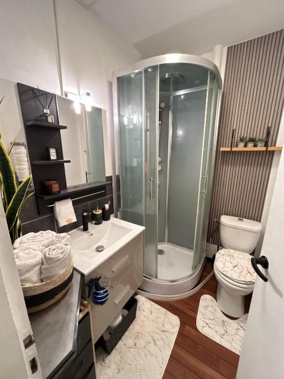 une salle de bain avec une douche, des toilettes et un lavabo dans l'établissement Eunila appart 15’ Défense, proche Paris, à Bezons