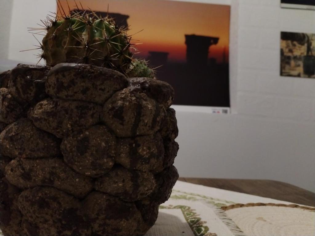 Fotografie z fotogalerie ubytování Seleucia DaR Umm Qais v destinaci Um Qeis