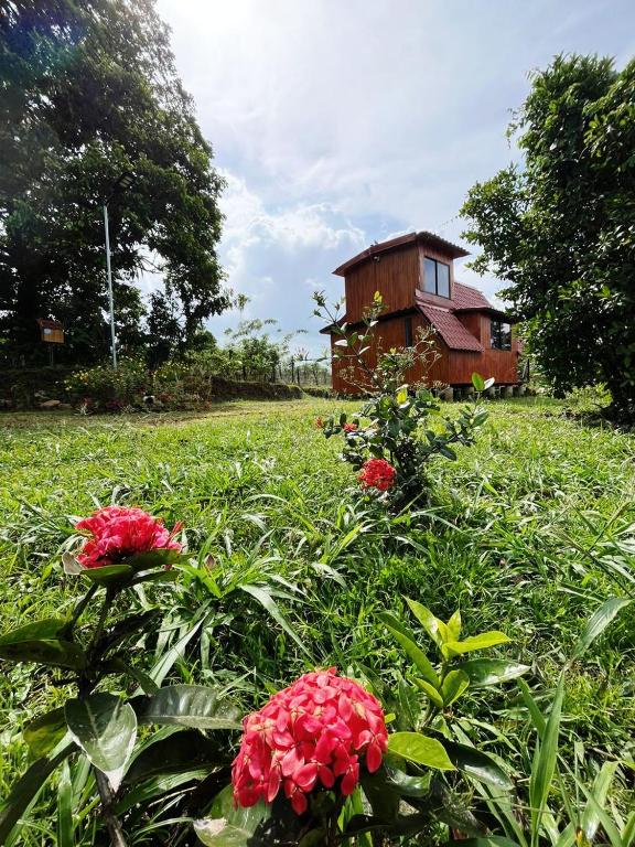 Zahrada ubytování Myra Chalets