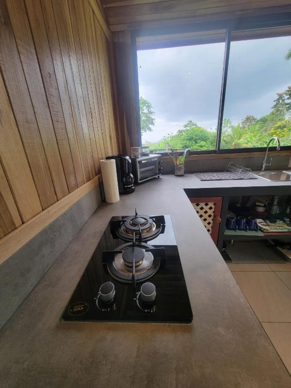 Kuchyň nebo kuchyňský kout v ubytování Myra Chalets