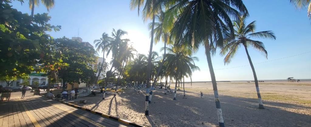een rij palmbomen op een zandstrand bij Hotel - La Perla Del Caribe in Ríohacha