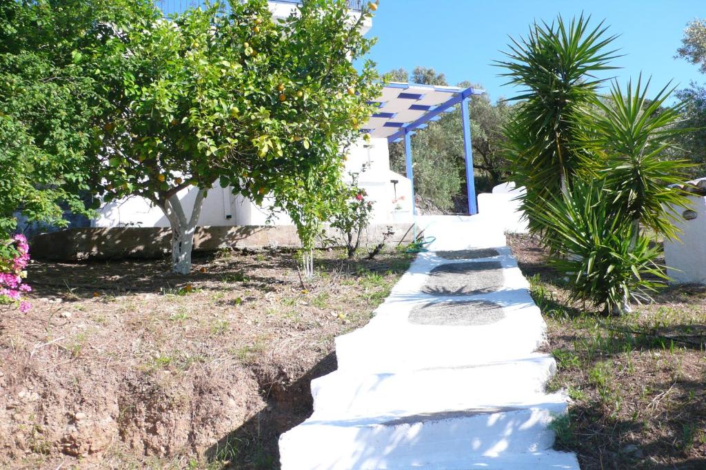 a path in a yard with trees and a house at Stefanos Garden in Arménoi