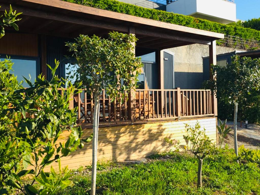 Zahrada ubytování Tiny House Yalikavak Natural Garden