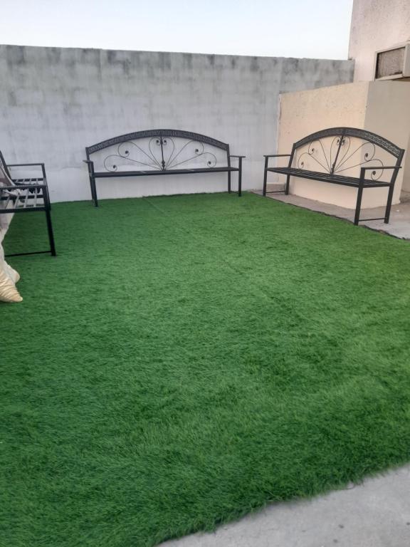 2 panche con erba verde in una stanza di بيت للإيجار اليومي / House for daily rent a Al Bulaydah