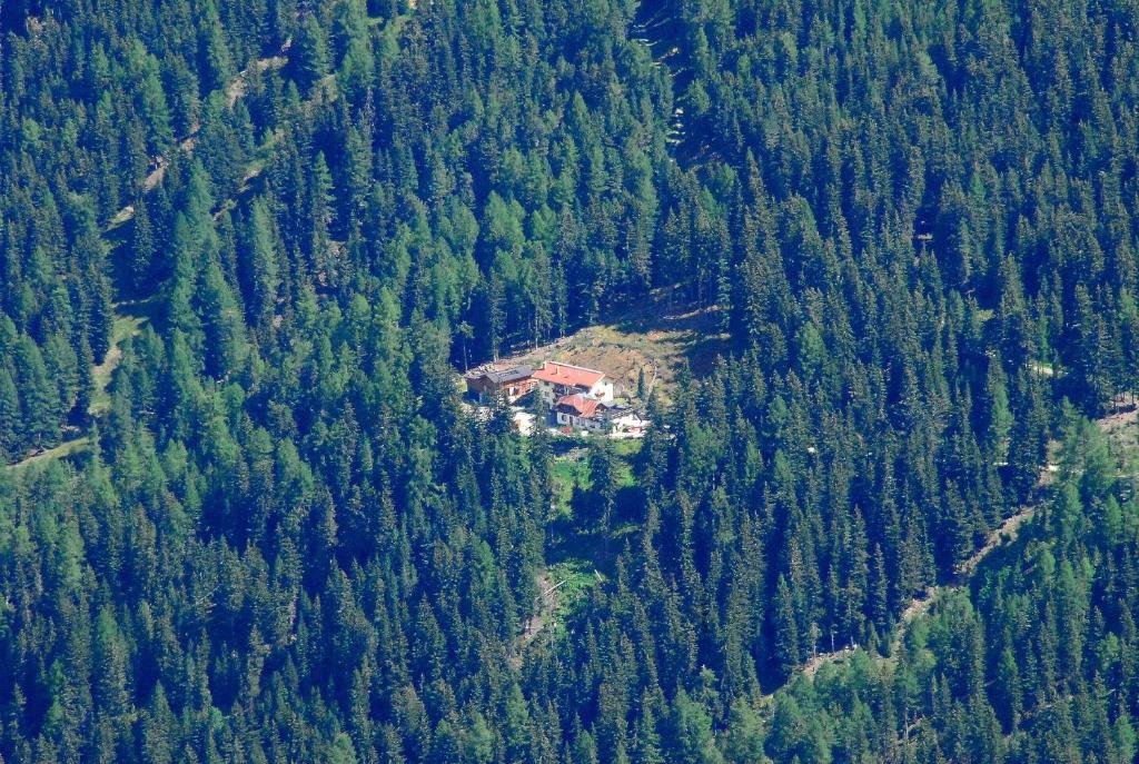 uma casa no meio de uma floresta de árvores em Gasthof Waldruhe em Solda