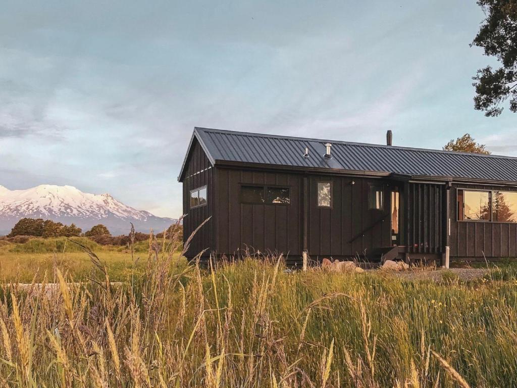 une maison noire dans un champ avec une montagne en arrière-plan dans l'établissement Sno Ruapehu - Horopito Holiday Home, à Raetihi