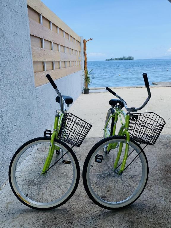 Jízda na kole v ubytování Fare Orahana Moorea nebo okolí