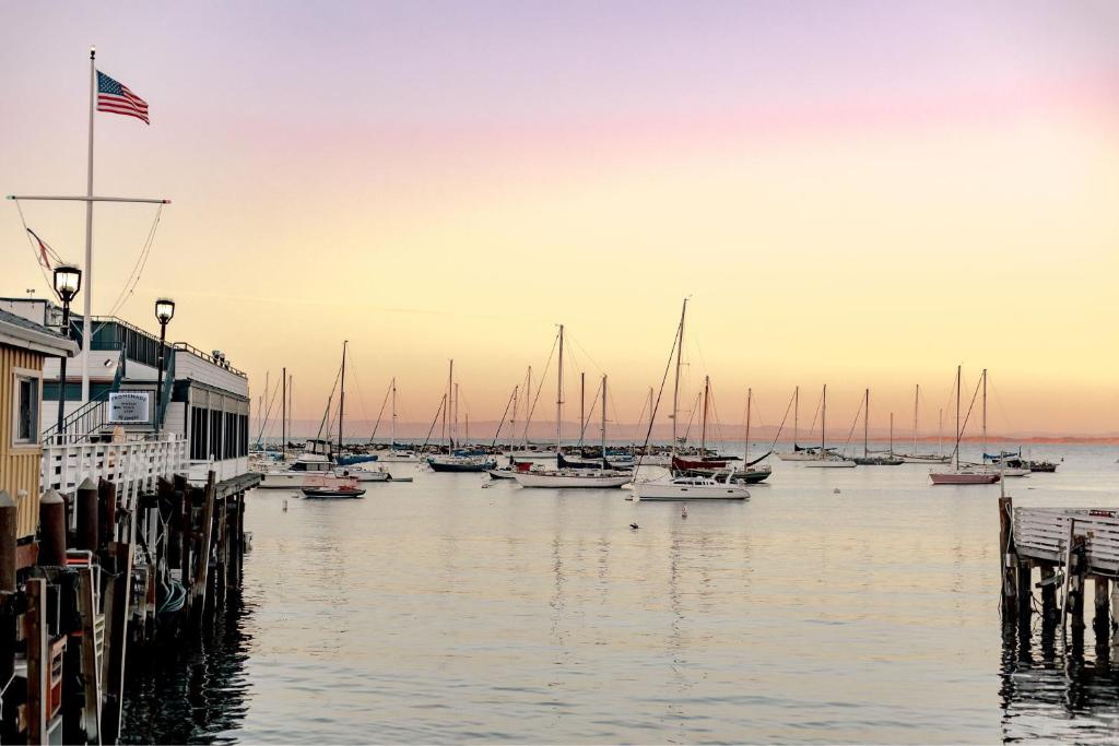 um grupo de barcos ancorados num porto em Monterey Marriott em Monterey