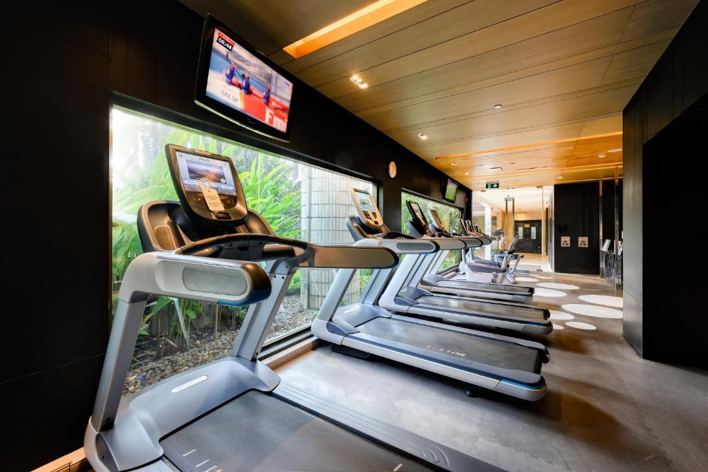 A window-side row of treadmills with individual entertainment screens.