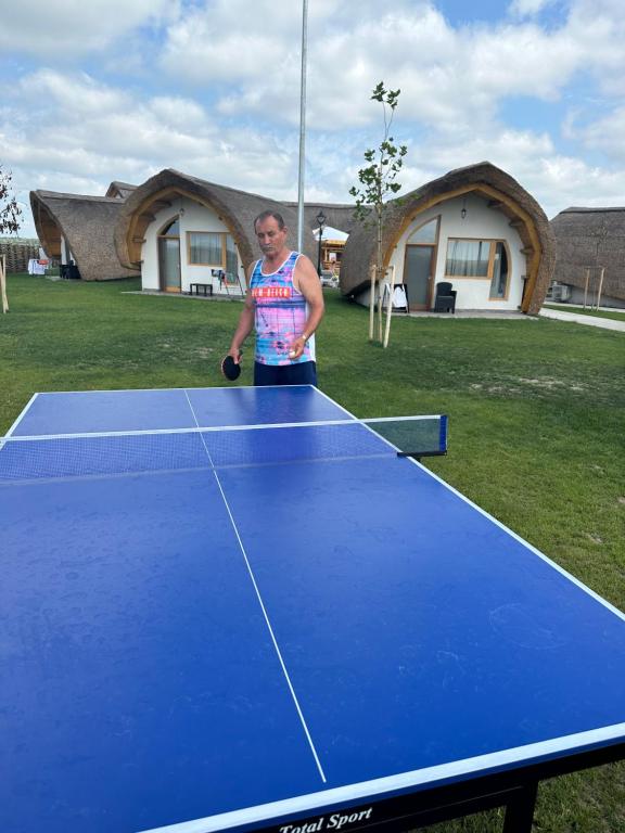 Stolní tenis v ubytování Complex Andris nebo okolí