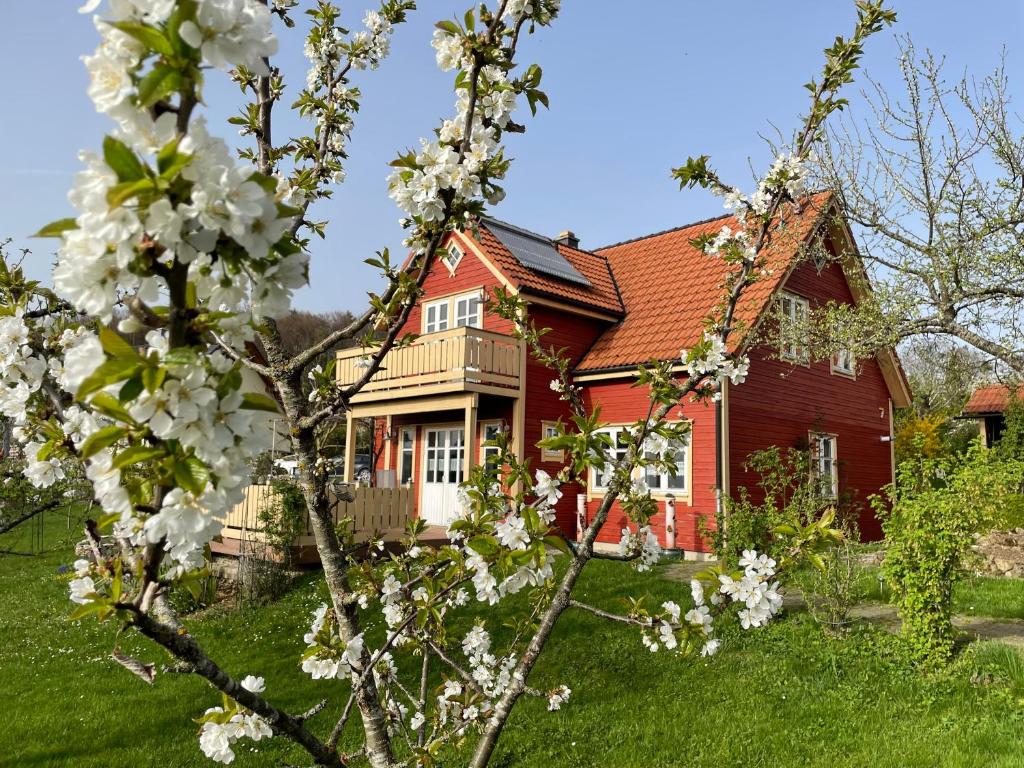 ein rotes Haus mit weißen Blumen davor in der Unterkunft Holzferienhaus in Gößweinstein