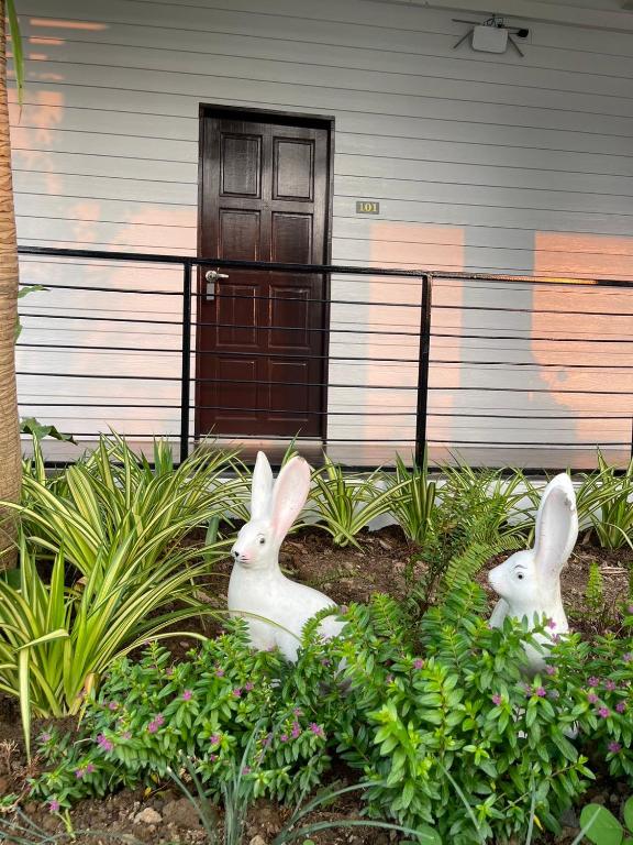 ?????? ????? ????? ???????? (Parawee Boutique Hotel) - Resim 24