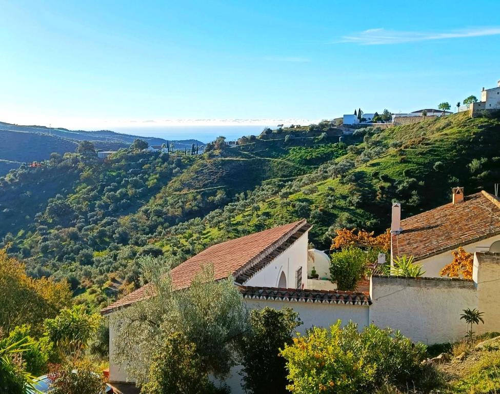 - une vue sur une colline avec des maisons et des arbres dans l'établissement Beautiful House with Sea View and Nature, 30 minutes from Malaga, à Moclinejo
