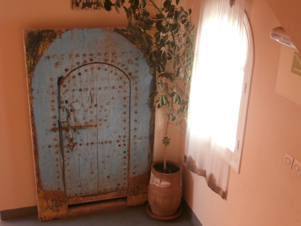 an old door in a room with a potted plant at Maison Xanadu in Sidi Ifni