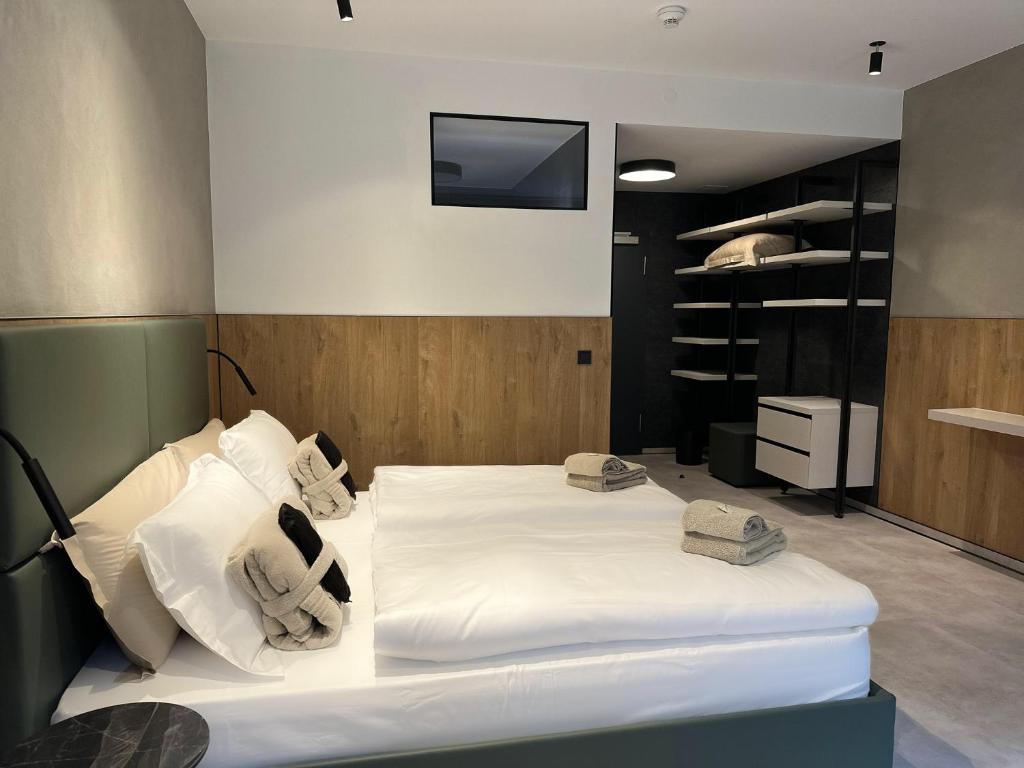 DAS ERZ Medical Spa & Hotel - Habitación Doble