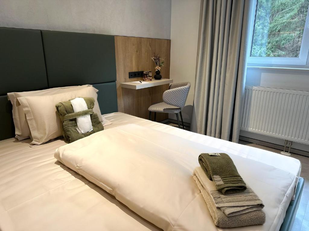 DAS ERZ Medical Spa & Hotel - Habitación Individual