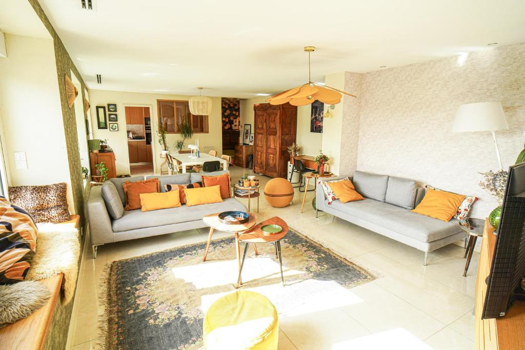 un salon avec deux canapés et une table dans l'établissement Le 8 république climatisé parking gratuit, à Colmar