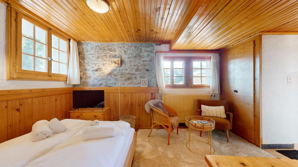 TV a/nebo společenská místnost v ubytování Charming alpine studio in the Val d'Anniviers