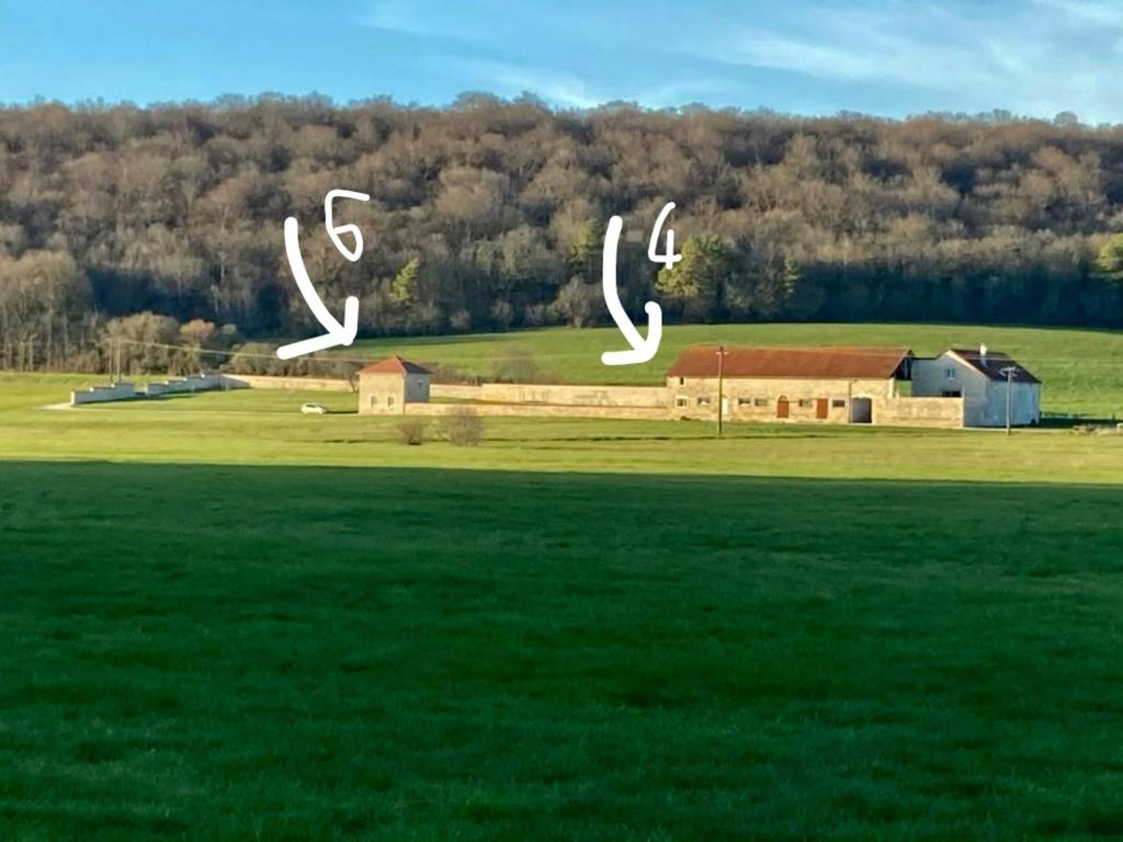 ein Feld mit zwei Hirschstatuen auf einem Feld in der Unterkunft Les Gîtes de la Vallée de l'aujon (10 pers) in Arc-en-Barrois