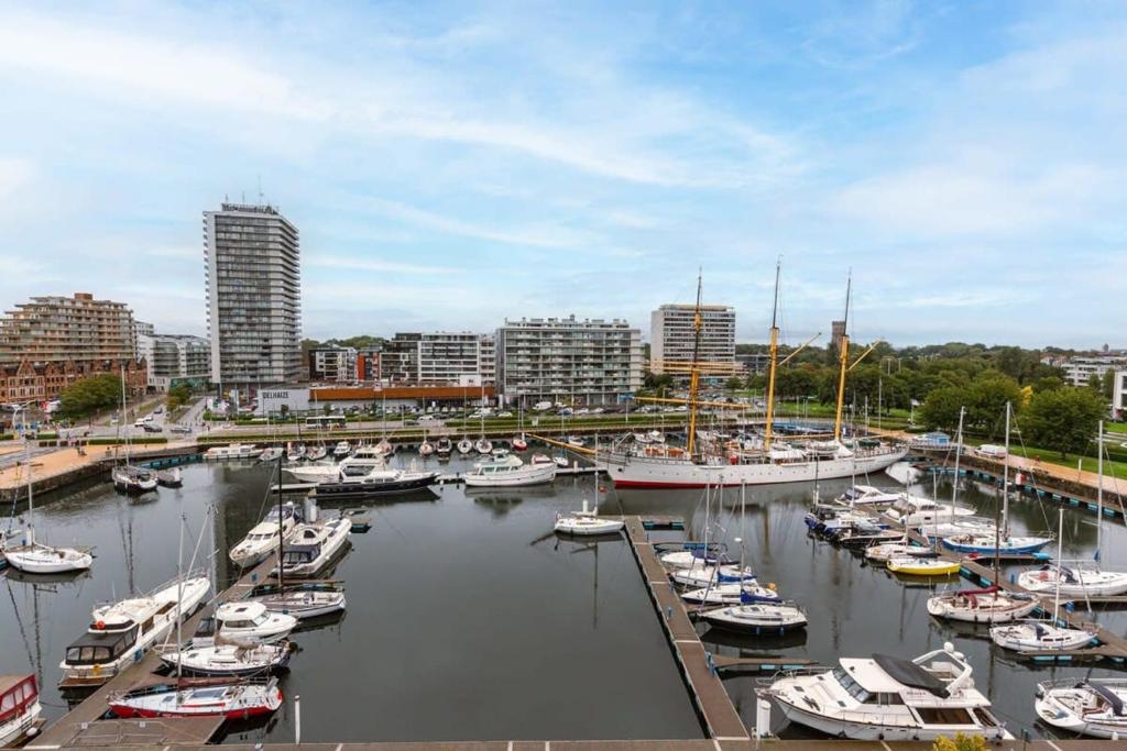 a bunch of boats are docked in a harbor at Huswell - Luminous family apartment with magnificent view in Ostend