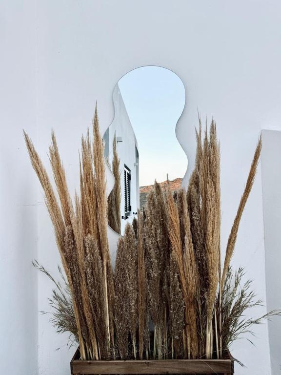 a vase with tall grass in front of a white building at Vie rêvée luxury suites in Ganema