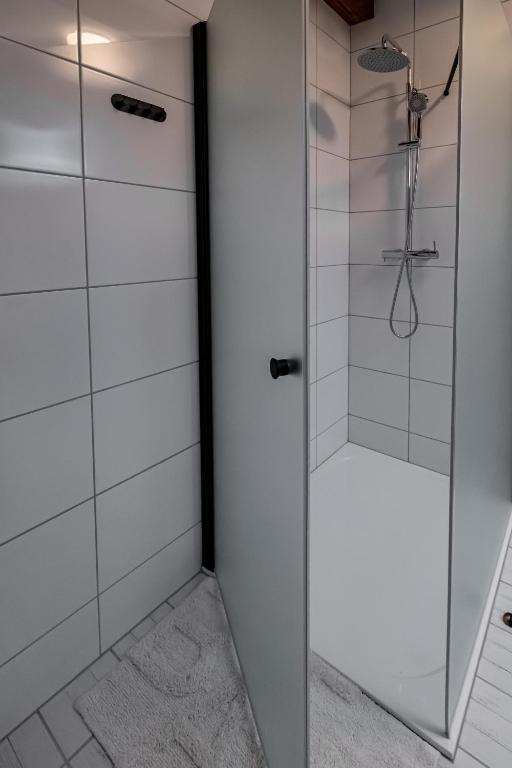a shower with a glass door in a bathroom at Kníže Ferdinand Apartments in Mikulov