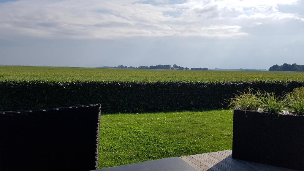 Blick auf ein grünes Feld mit zwei schwarzen Stühlen in der Unterkunft Bed & Breakfast Rheiderland in Ditzumerverlaat