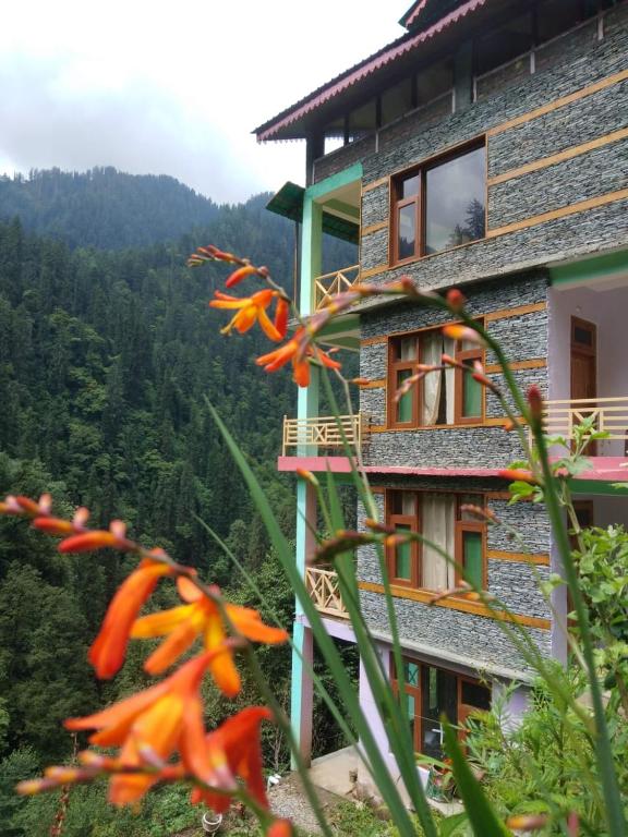 吉布The Forest Pinnacle and Café, Jibhi的相册照片