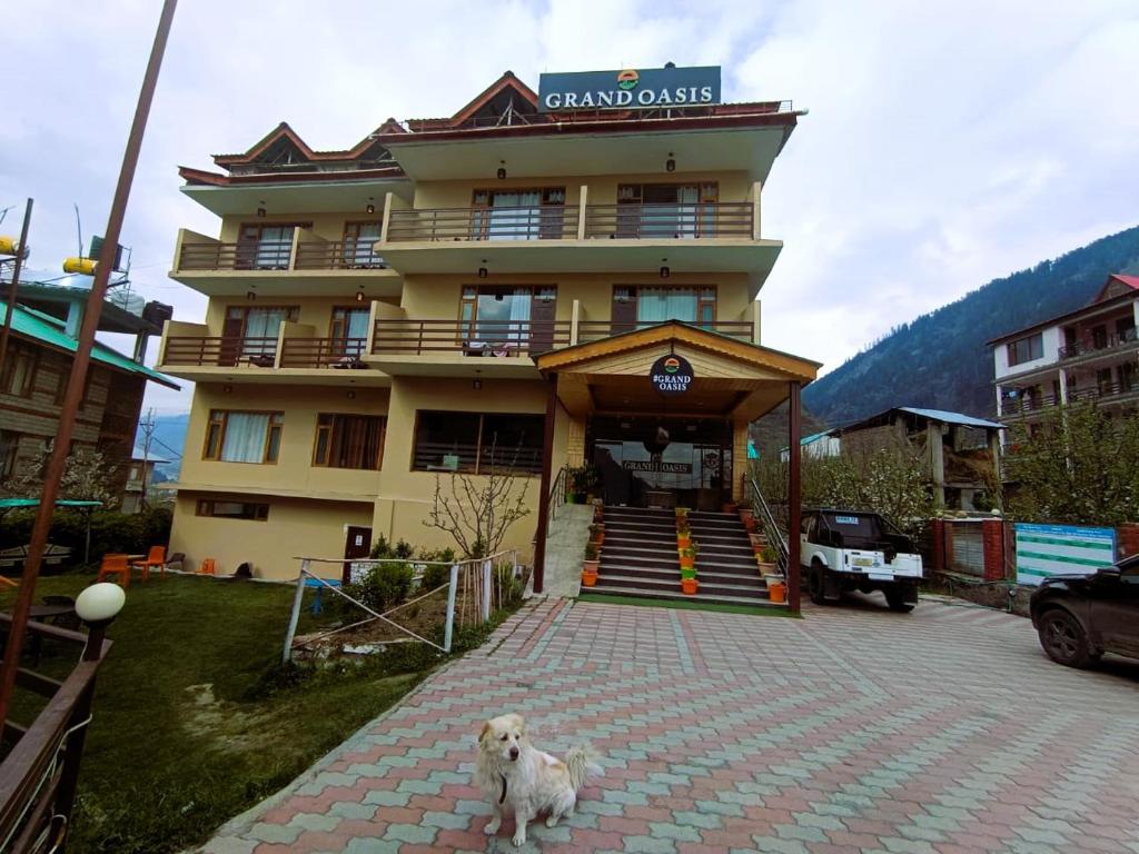 a dog standing in front of a building at Hotel Grand Oasis in Manāli