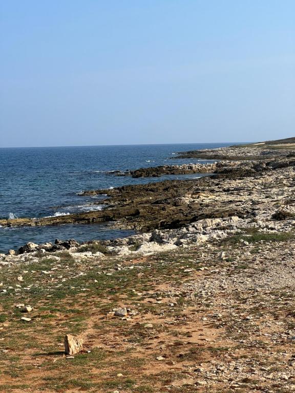 Φυσικό τοπίο κοντά σε αυτό το διαμέρισμα