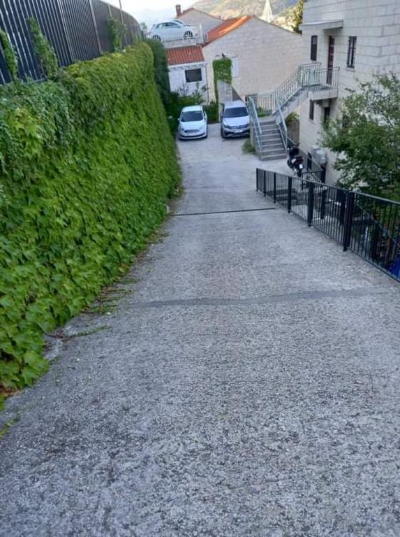 a street with two cars parked next to a hedge at Guest House Cesic in Dubrovnik