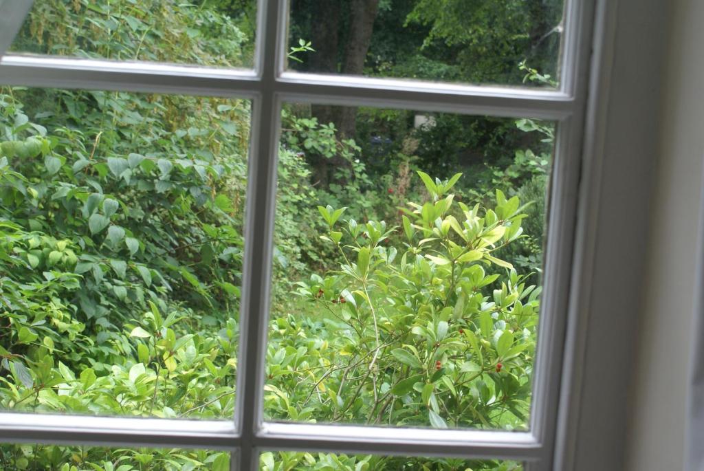 Haley's Hotel - Resim 45