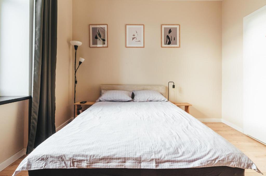 - une chambre avec un grand lit et 2 oreillers dans l'établissement Przytulny apartament przy dworcu, à Radom