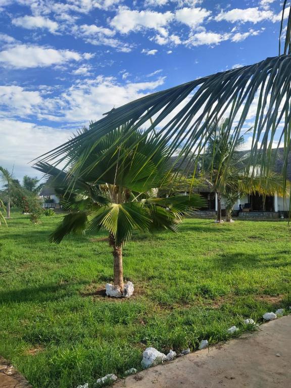 Aed väljaspool majutusasutust Sagwe Riviera Diani, Kenya