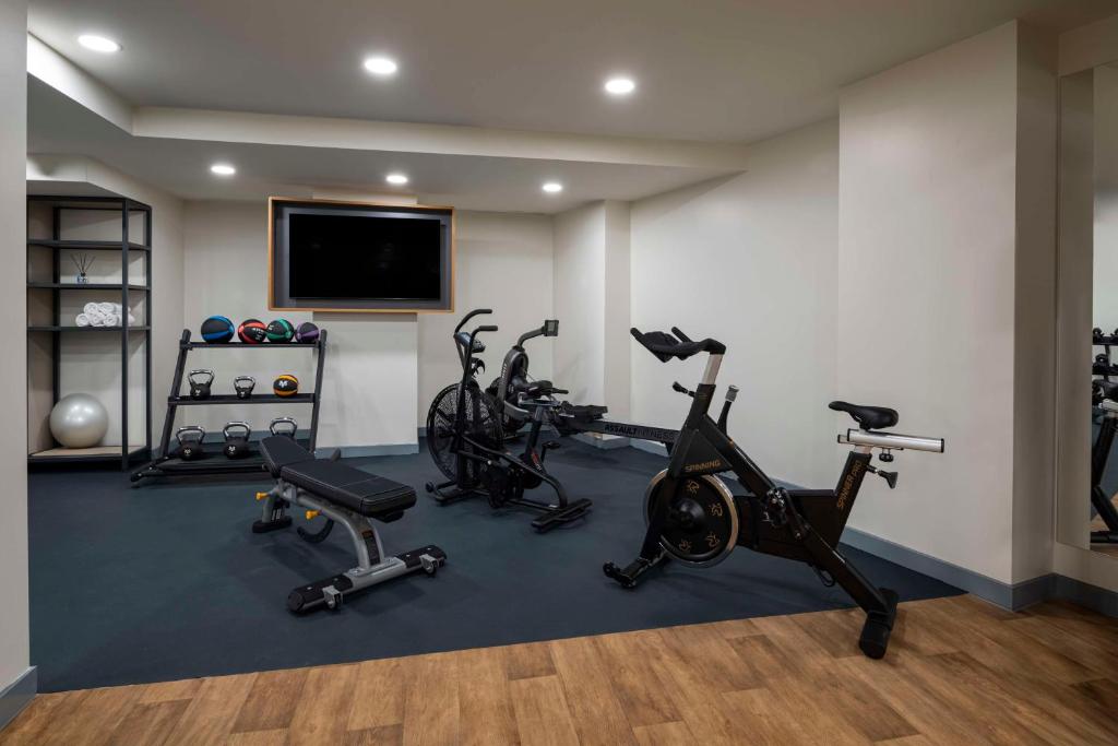 Fitness centrum a/nebo fitness zařízení v ubytování Hampton By Hilton Istanbul Sirkeci