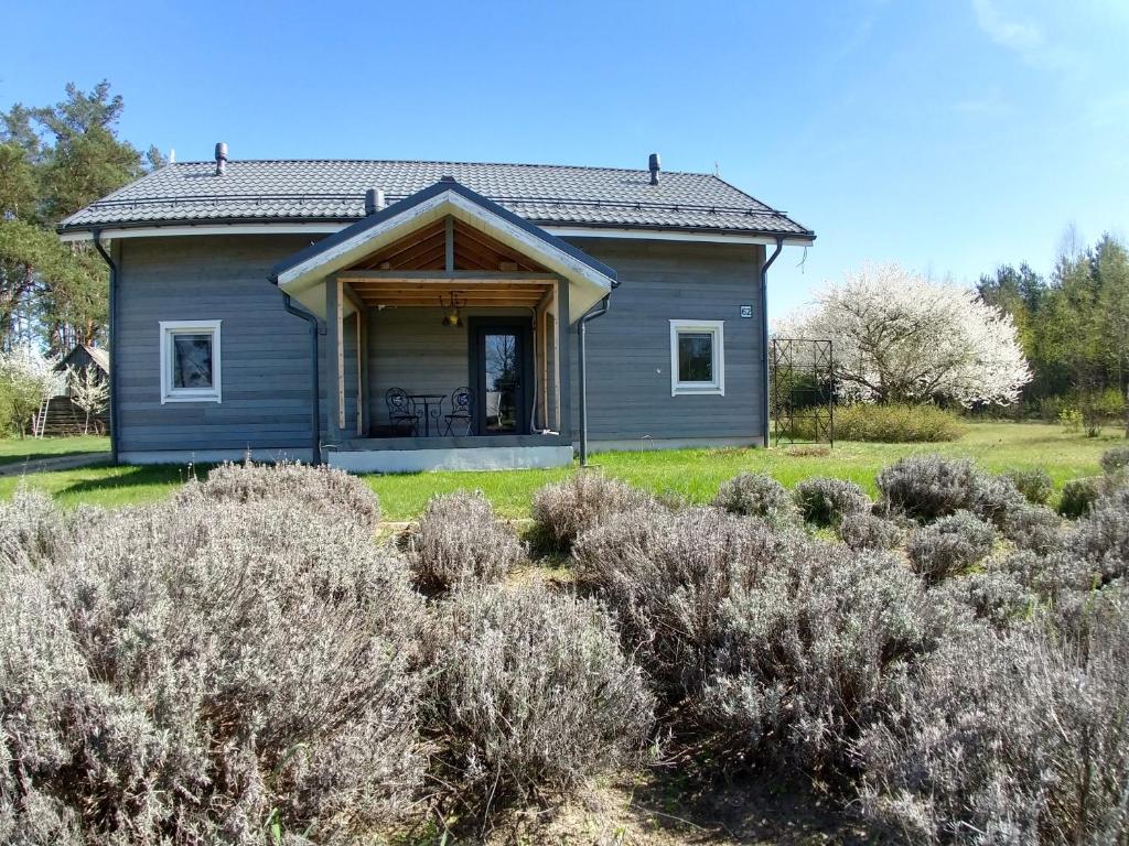 a blue house in a field of bushes at AromaHouse in Lipliūnai