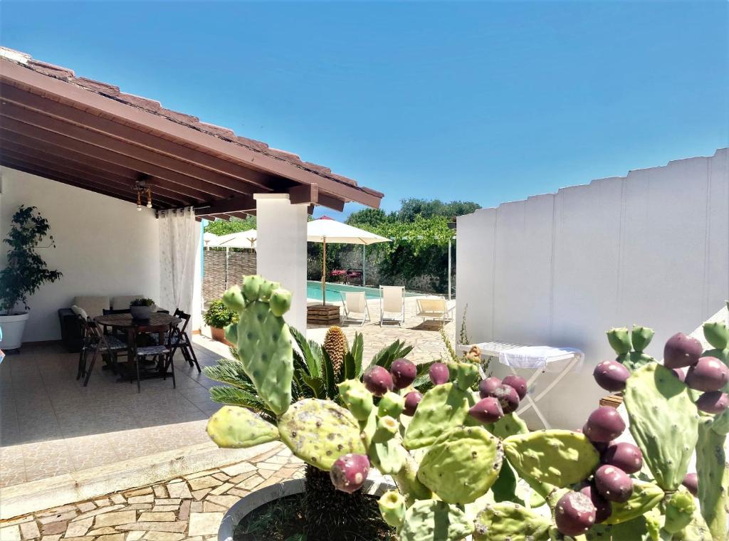 A garden outside La Corte di Nunu'