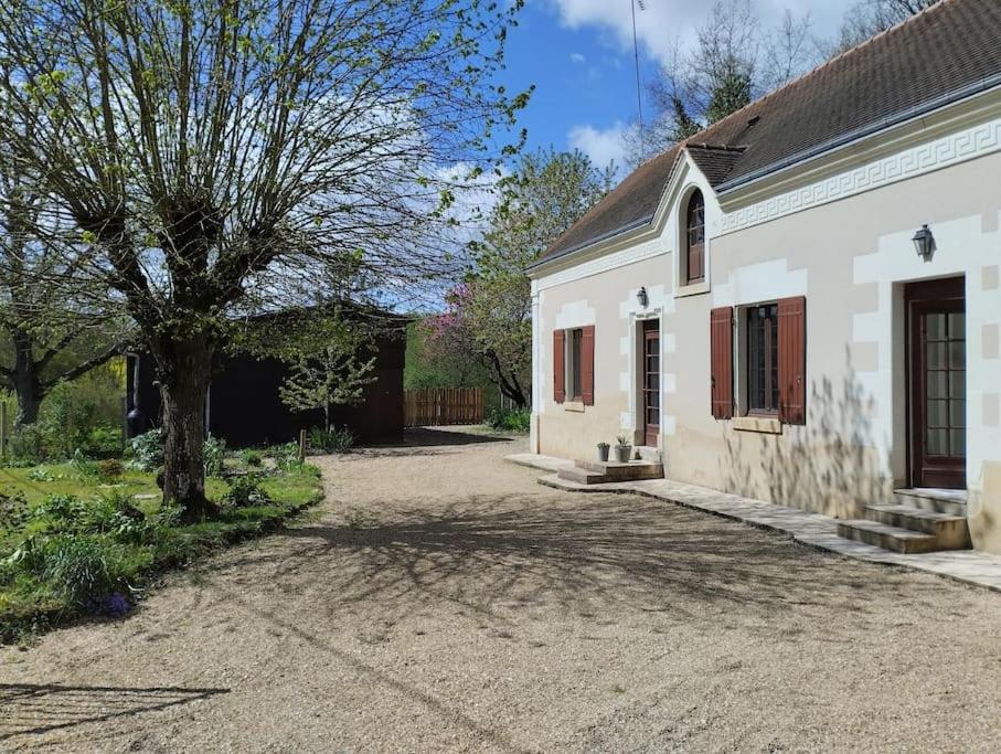 una casa blanca con un árbol y una entrada en la JoLie ruche en Saint-Georges-sur-Cher