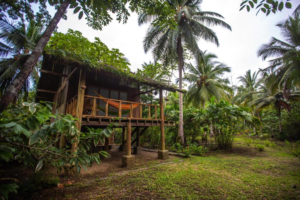 a house in a forest with palm trees at Jardín Botánico del Pacífico y Mecana Ecohotel in Bahía Solano