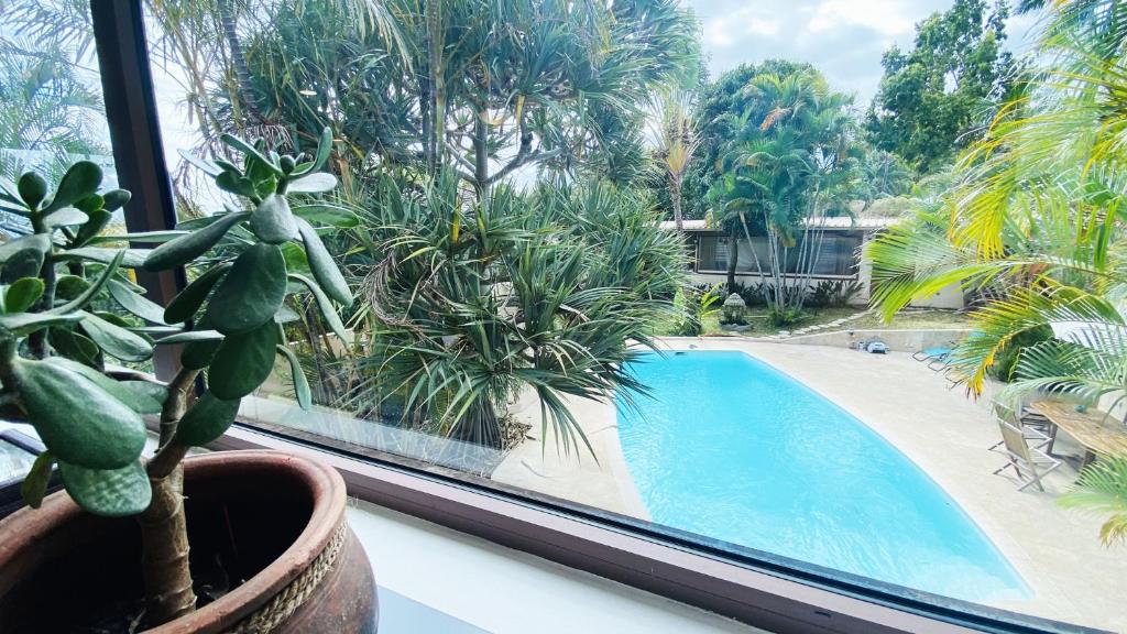 Bazén v ubytování COLIVER - COLIVING A LA RÉUNION nebo v jeho okolí
