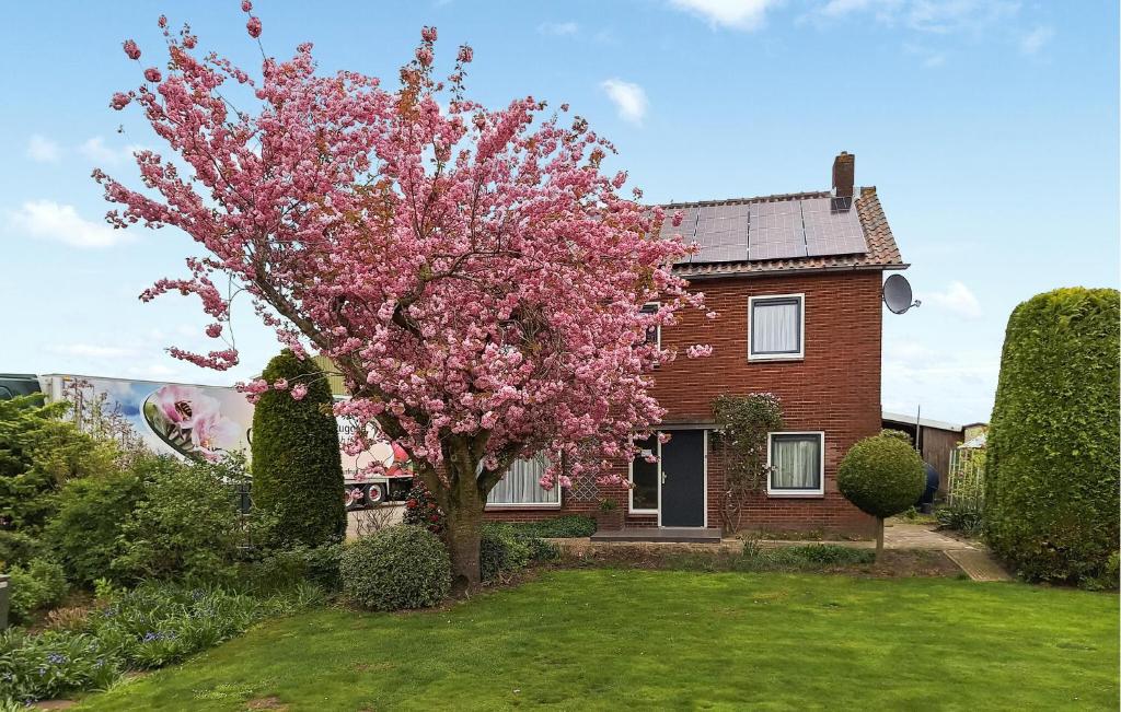 ein Haus mit einem rosa blühenden Baum im Hof in der Unterkunft Stunning Home In Acquoy With 9 Bedrooms And Wifi in Acquoy
