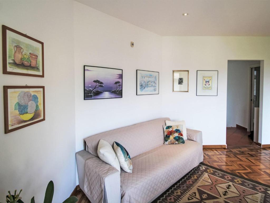 salon z kanapą i obrazami na ścianie w obiekcie Apartment Il Ciliegio by Interhome w mieście Maccagno Inferiore