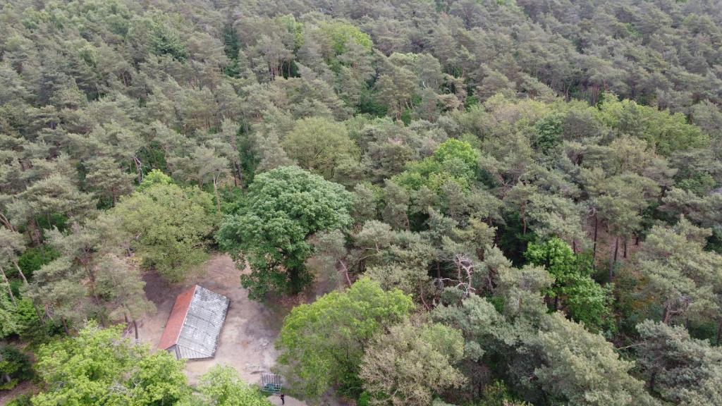 una vista aérea de una casa en medio de un bosque en Natuurslaapkamer de zaadeest boskamer en Lomm