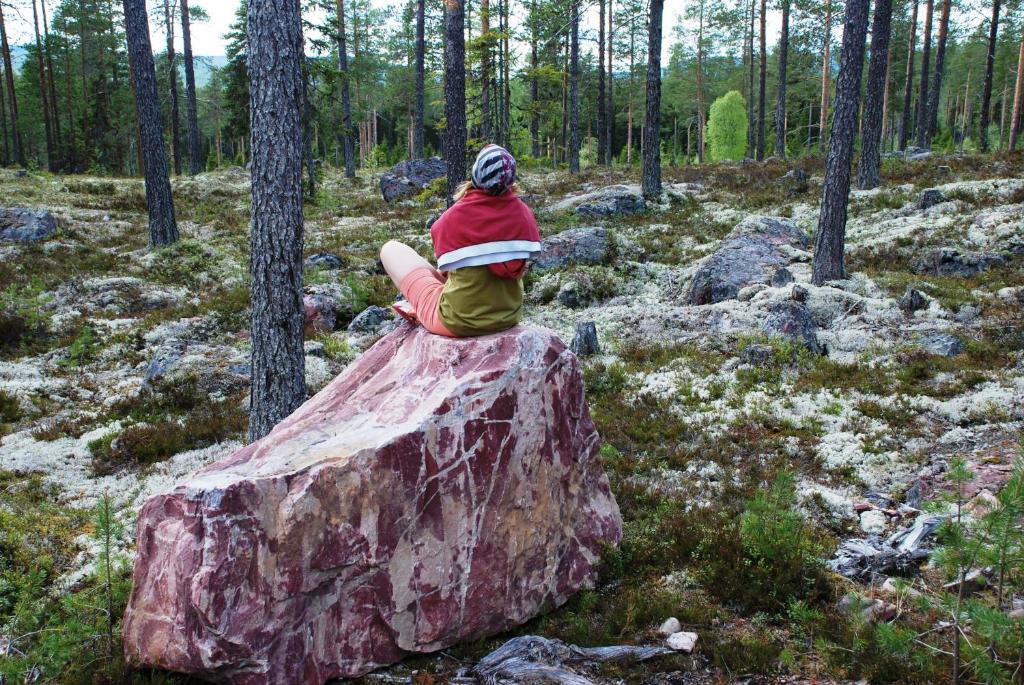 une personne assise sur un rocher dans les bois dans l'établissement 14-Nasjonalpark, sykling, fisking, kanopadling, skogs- og fjellturer, à Trysil