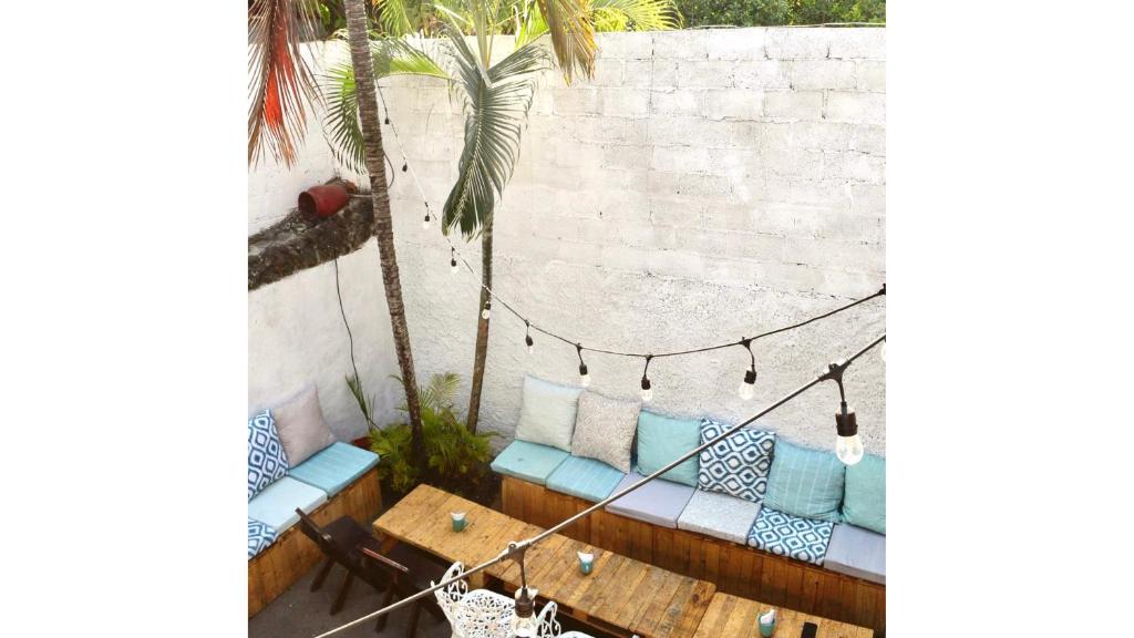 un patio con un sofá, una mesa y una palmera en Casa Coco Hostel, en Santa Ana