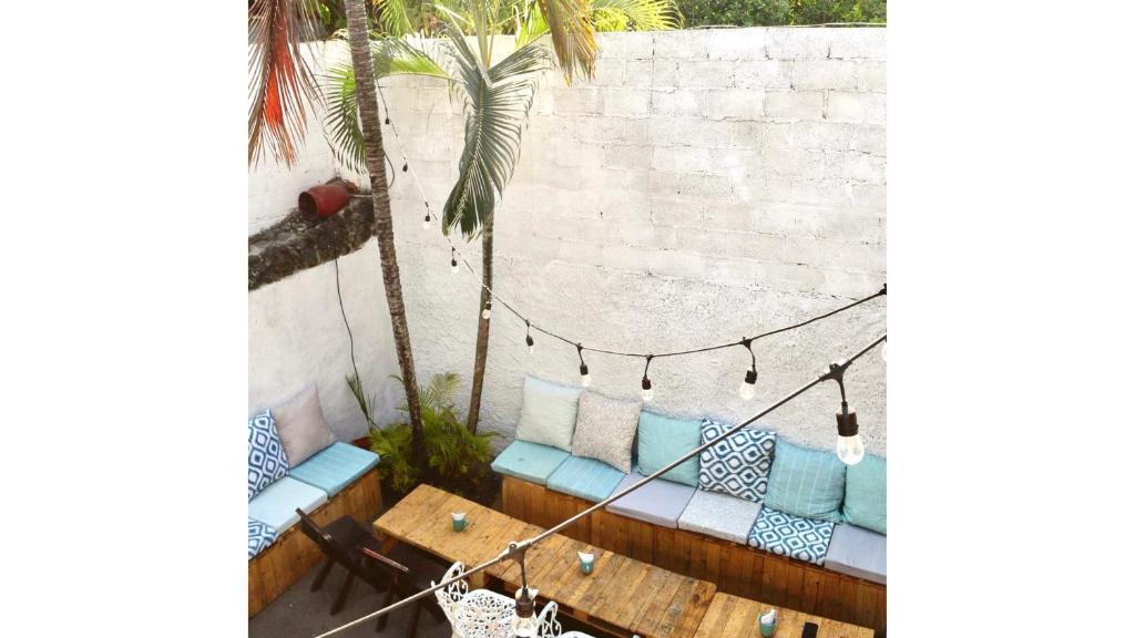 a patio with a couch and a table and a palm tree at Casa Coco Hostel in Santa Ana
