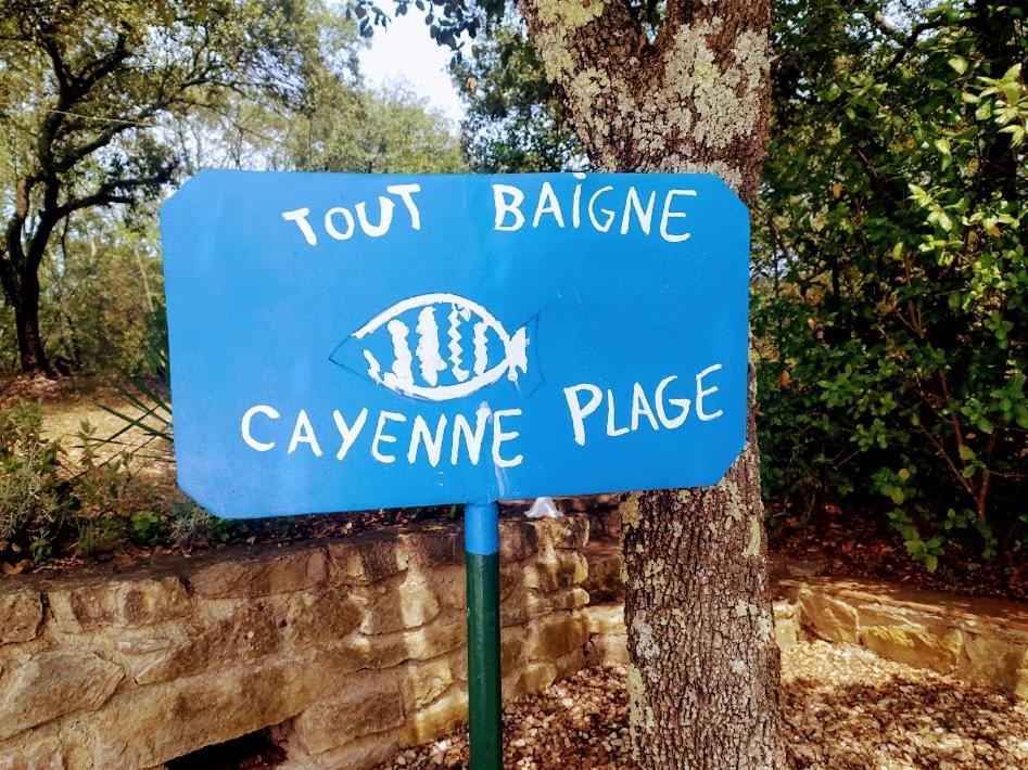DionsにあるLes Gîtes De Cayenne - Gîte ORIENTの木前青い看板