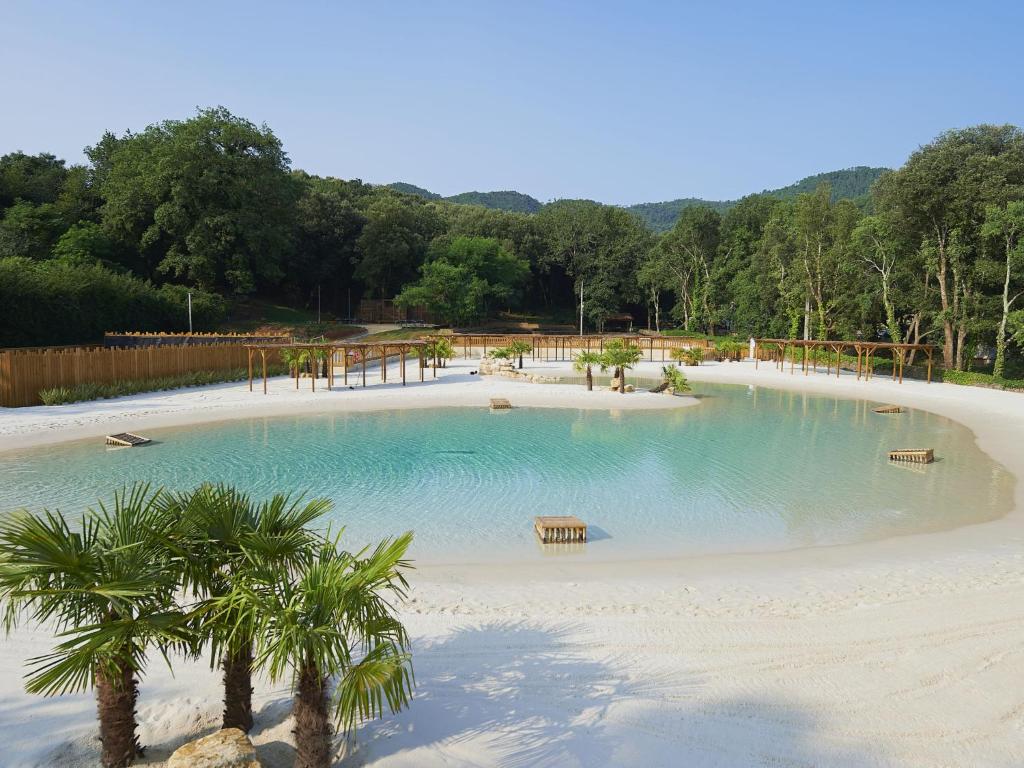 une grande piscine d'eau avec des palmiers. dans l'établissement Holiday Home La Clémentine Chalet Confort 4-5 pers by Interhome, à Cendras