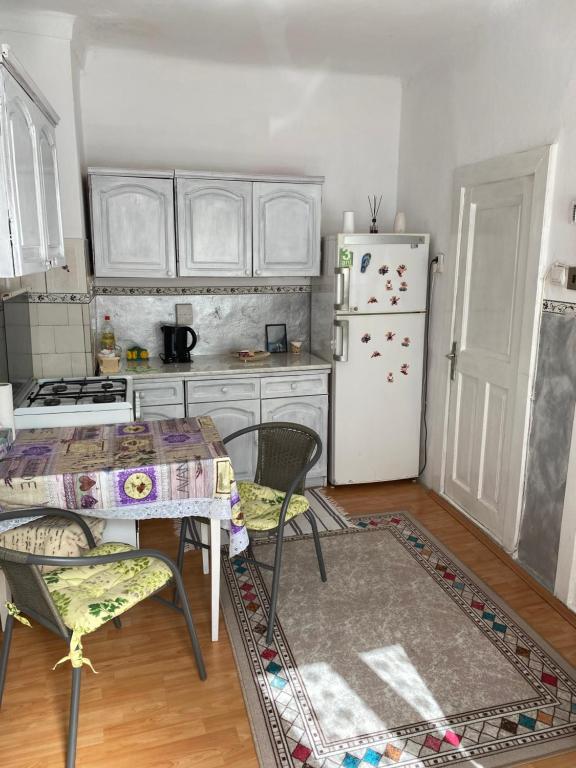 Il comprend une cuisine équipée d'un réfrigérateur, d'une table et de chaises. dans l'établissement Comaniciu Sorin, à Făgăraş