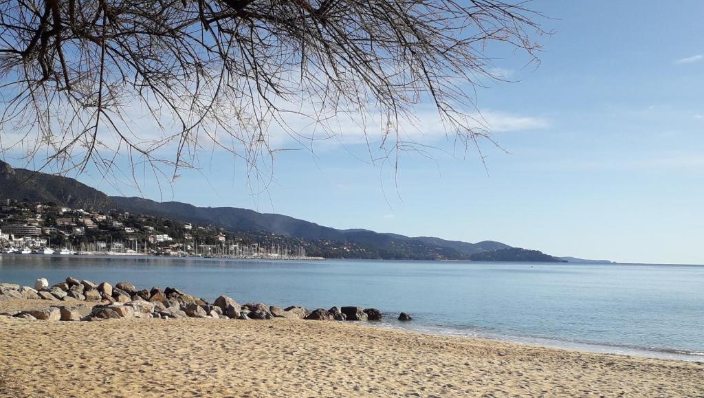 Ein Strand mit Felsen und Wasser in der Unterkunft Haut de villa avec jardin (Apt T3) in Bormes-les-Mimosas